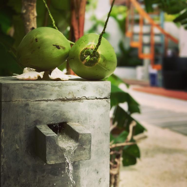 Veli Vilaa Dhiffushi Zewnętrze zdjęcie